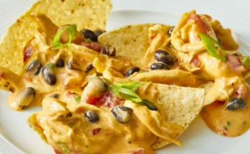 Chicken Nacho Dip Chicken Nacho Dip