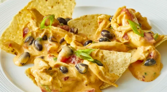 Chicken Nacho Dip Chicken Nacho Dip