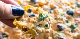 Chicken Taco Dip Chicken Taco Dip