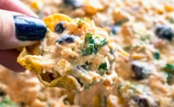 Chicken Taco Dip Chicken Taco Dip