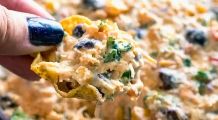 Chicken Taco Dip Chicken Taco Dip